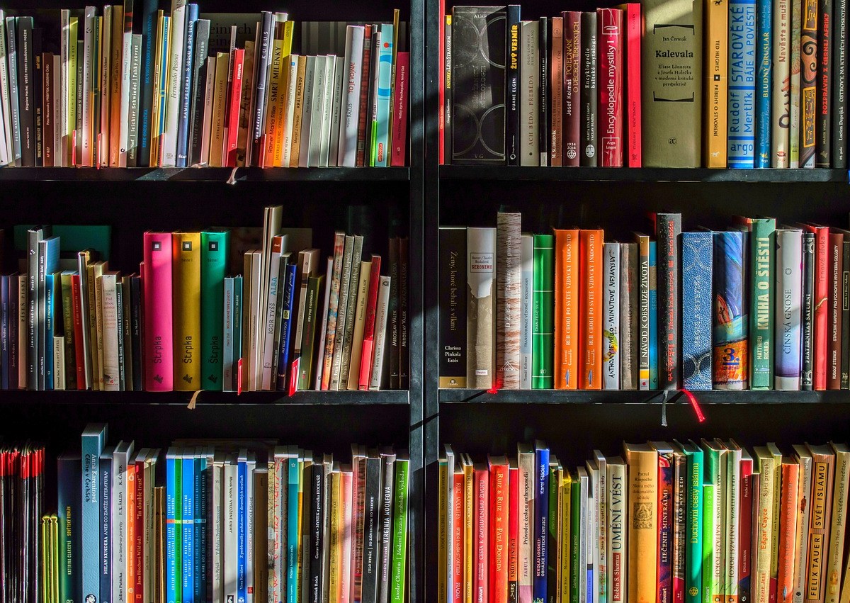 Shelves of books