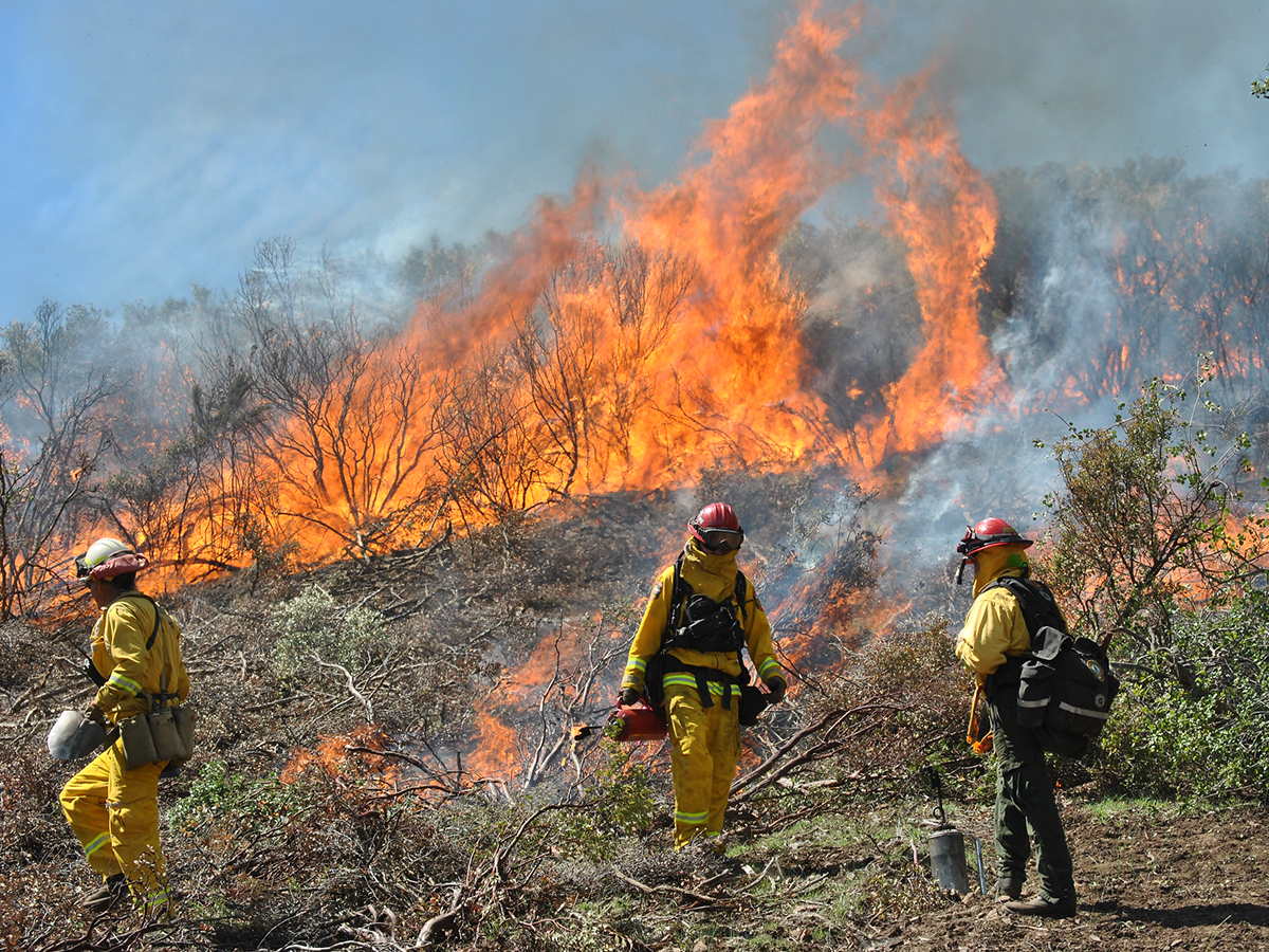 Fire season is underway: Here’s what’s new in Berkeley this year