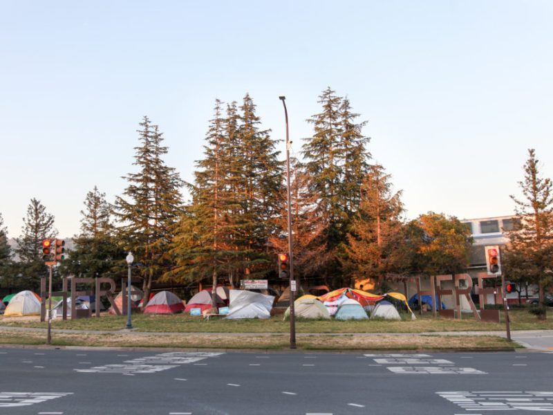 Berkeley’s ‘Here There’ protest camp puts down roots