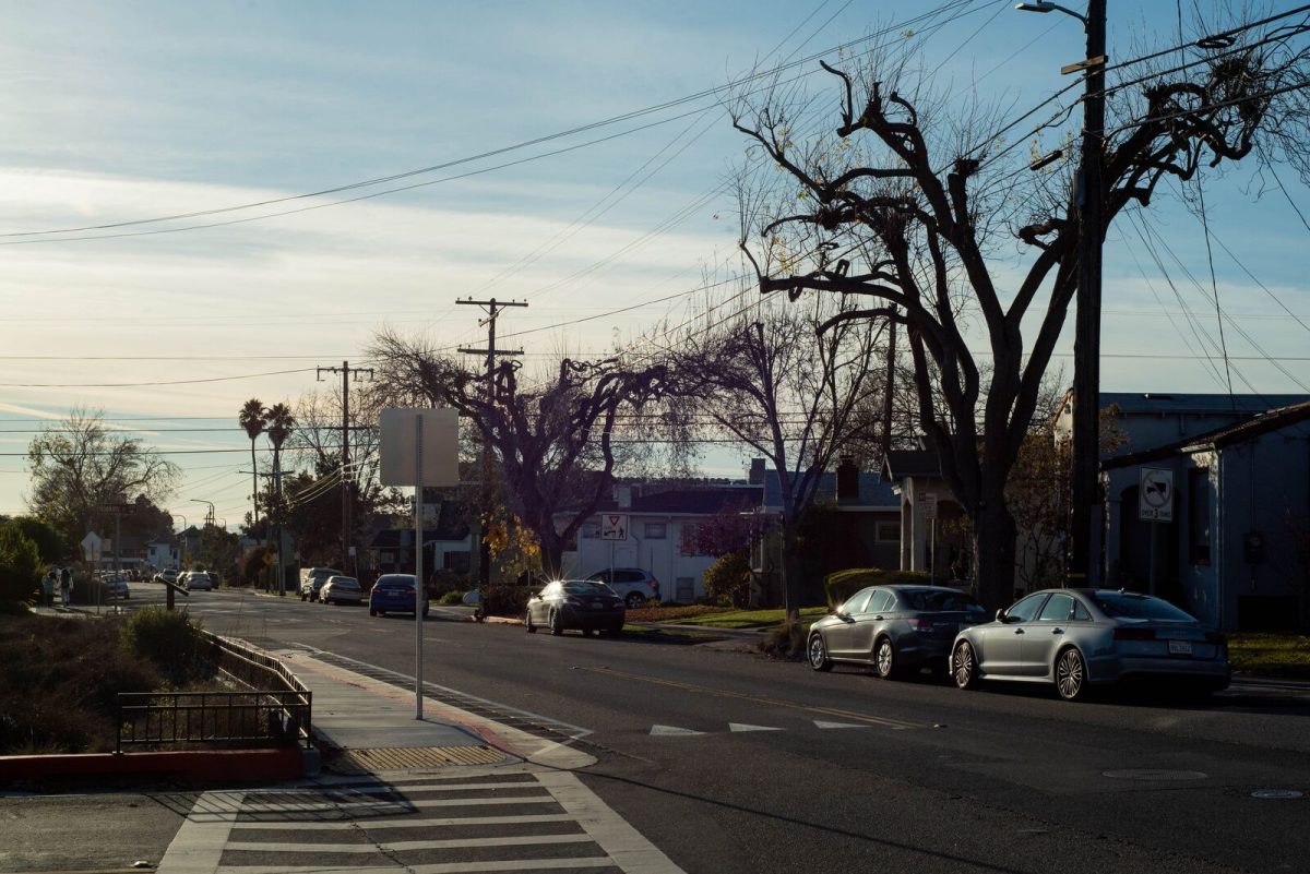 A western block of Hopkins Street, a two-lane road.