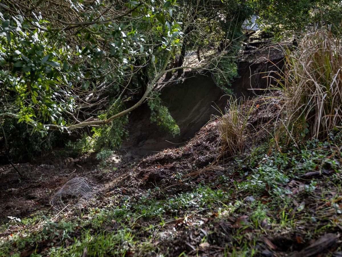 More mudflows possible in Berkeley even under sunny skies