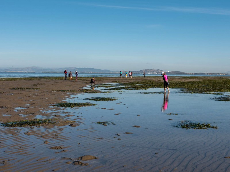 This weekend’s King Tides offer glimpse into the future of sea level rise