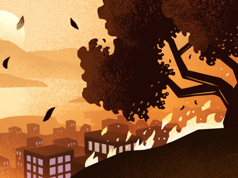 How do you prepare for wildfires in Berkeley? Get answers in our guide